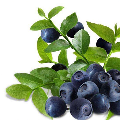Acai Beeren Pulver
