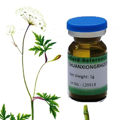 Chuanxiong-Rhizoma